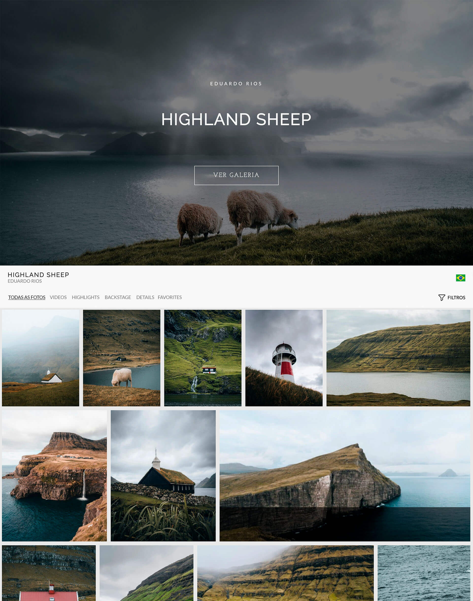 imgs-design-proof-gallery-highland sheep